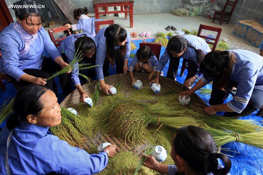 #CHINA-GUANGXI-RICE-TRADITION (CN)