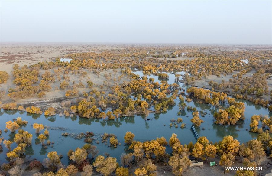 CHINA-XINJIANG-TARIM RIVER-ECOLOGICAL WATER DIVERSION (CN)