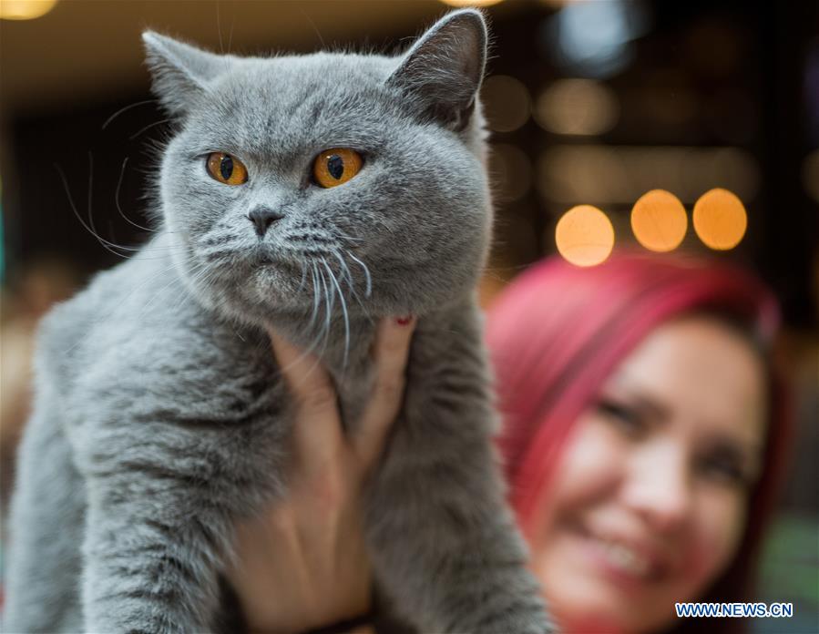 LITHUANIA-VILNIUS-CAT SHOW