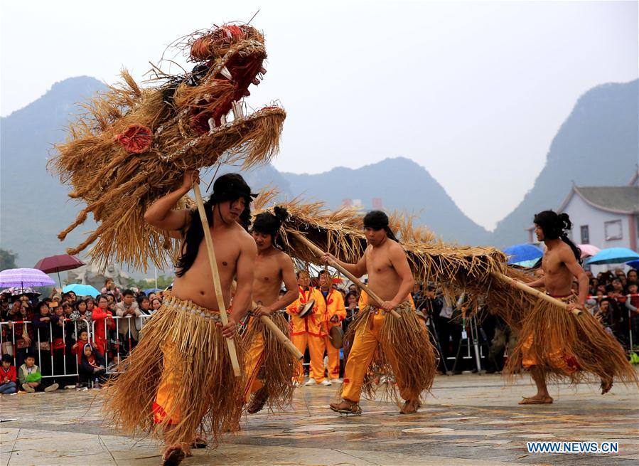 #CHINA-GUANGXI-LUOCHENG-GRASS DRAGON DANCE (CN)