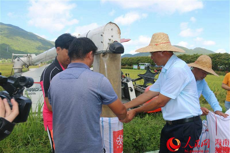 New super hybrid rice variety breaks high yield record in S China's Sanya