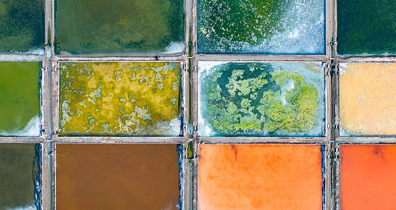 Salt fields in Shandong displayed a gradual color palette