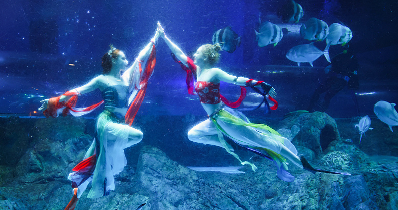 Nanjing Andover Under Water World presented underwater dance