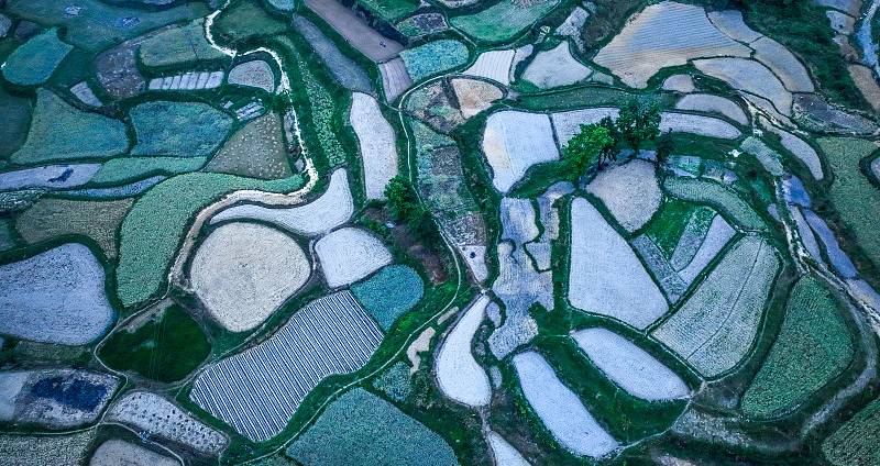 Terraced fields with distinct color blocks resemble a natural palette
