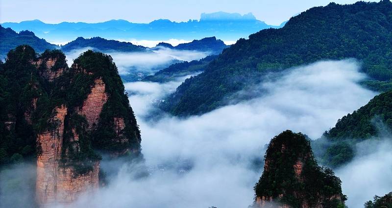  Zhangjiajie after rain enveloped peaks and rocks in a misty sea of clouds