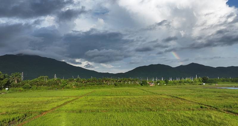 A brilliant rainbow appeared over the rice field in Sanya