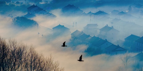 Misty town of Dongtai looks like an ink wash painting