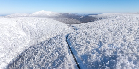 Snow falls on the frosty forest of Mudanjiang