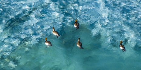 Shannan: Enjoy the crystal clear water of the Lake Yamzho Yumco