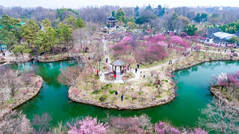 Spring scenery across China