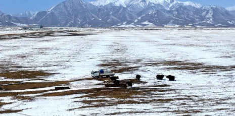 Zhangye witnesses rare May snowfall