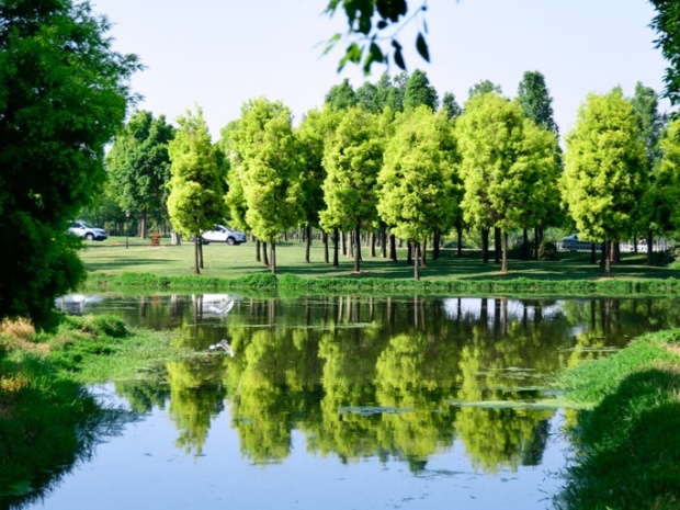 VCG111565682395_.jpg