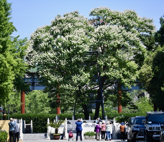 VCG111565648039.jpg