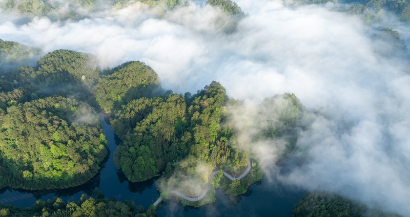Green and lush wetland in Huaihua