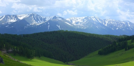 Lush greenery blankets Narenxia Ranch