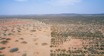 VCG111569570957_.jpg