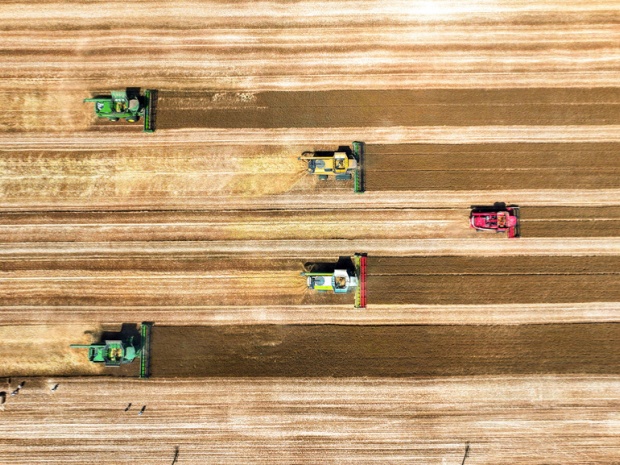 VCG111574531489_.jpg