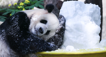 VCG111640407276.jpg