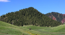 VCG111653348870.jpg