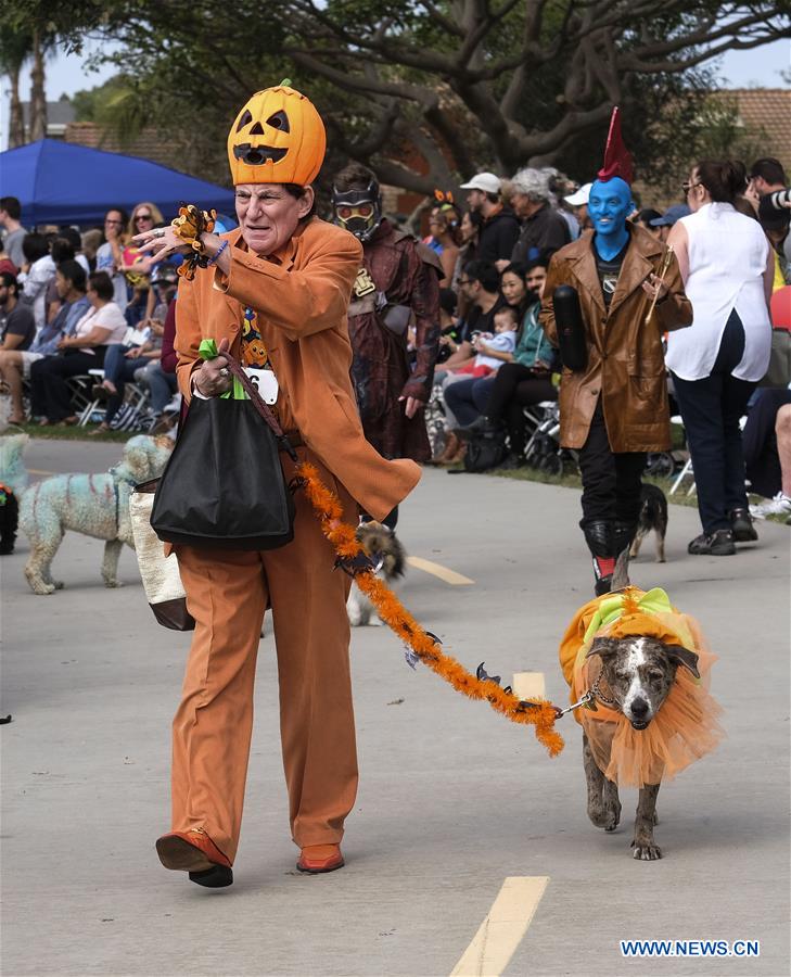 U.S.-LONG BEACH-DOG-PARADE