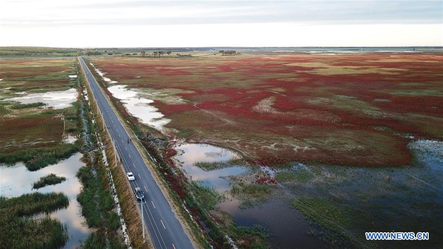 CHINA-JILIN-BAICHENG-MOMOGE WETLAND (CN)