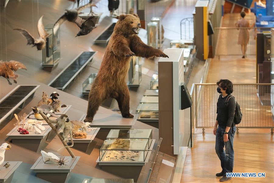 Museum of Natural Sciences in Brussels opens one