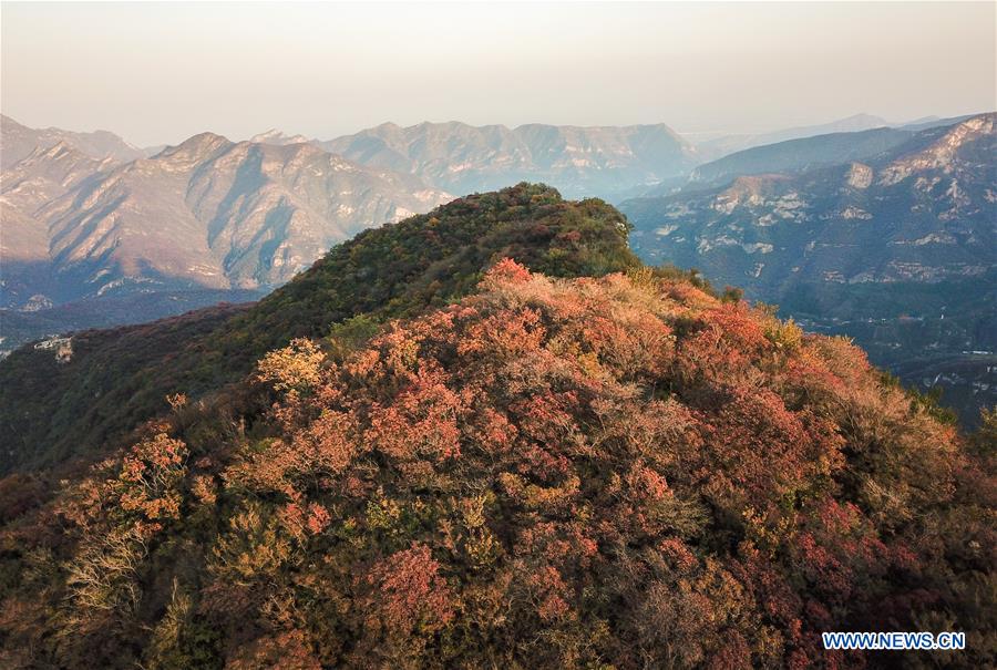 Autumn scenery at Pofengling Scenic Area in Beijing