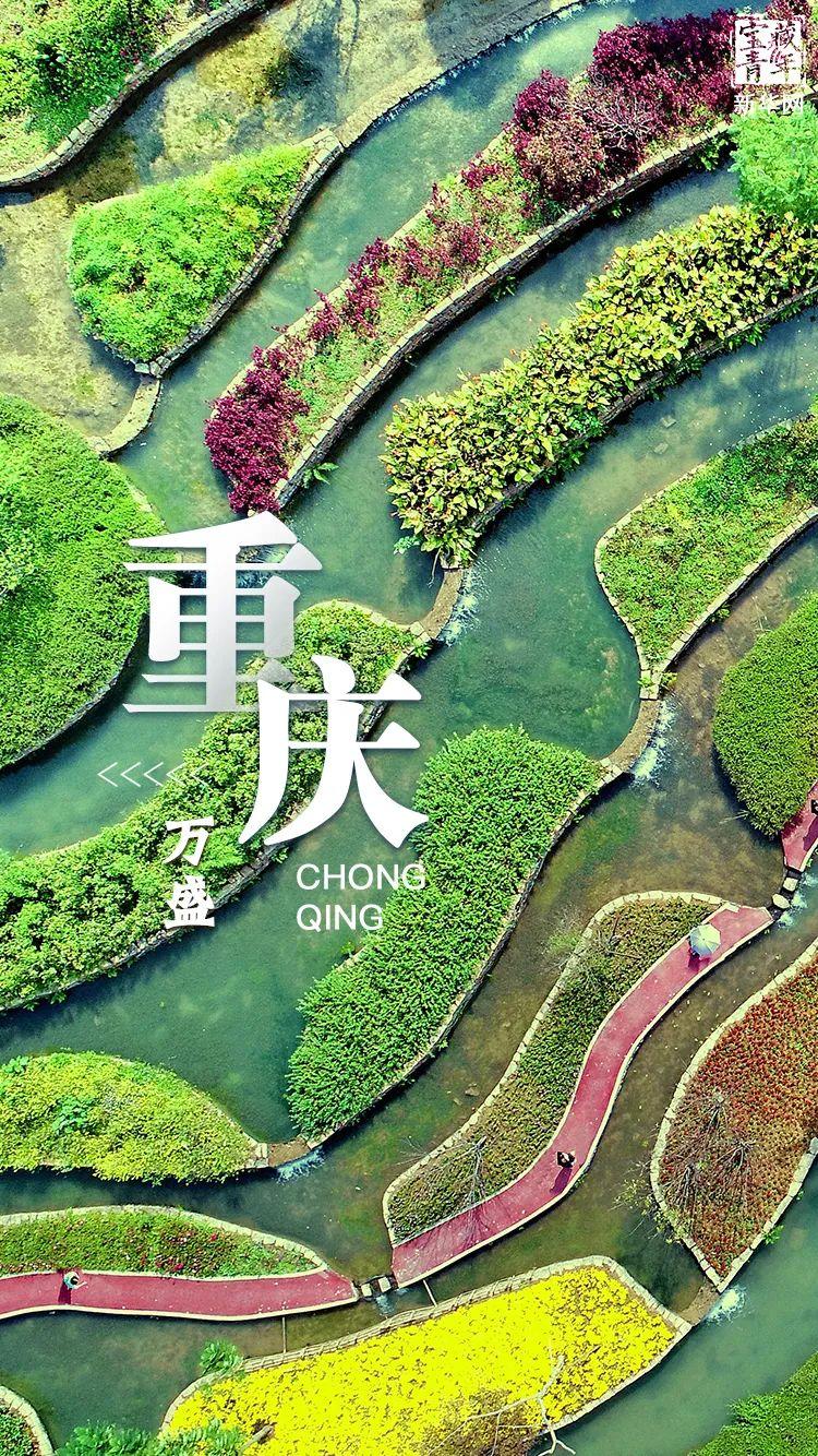 World Wetlands Day: A glimpse of China's earth’s kidneys