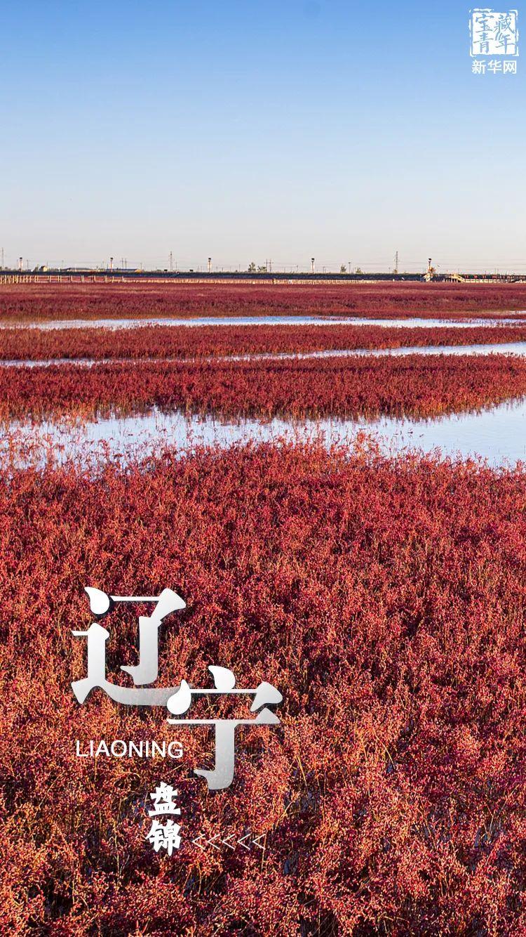 worldwetlandsdayaglimpseofchinasearthskidneys