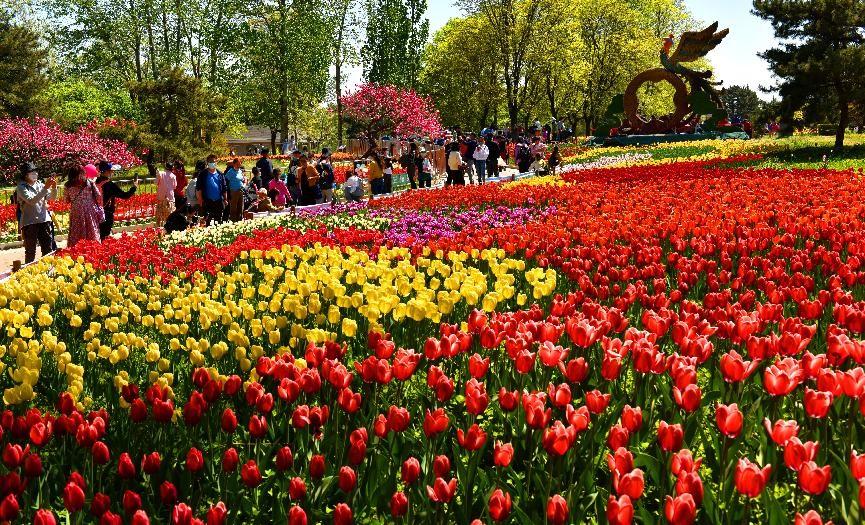 China’s first national botanical garden to take shape in Beijing