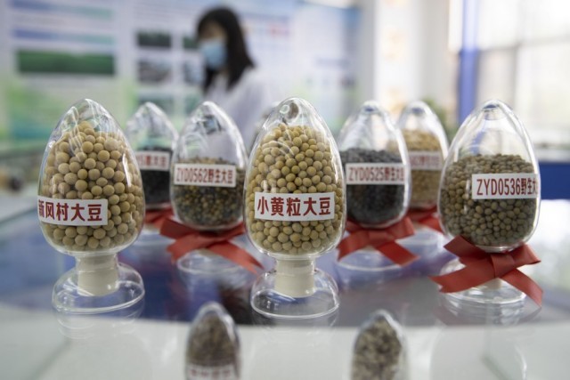 How China's breadbasket province ensures grain output through new technologies