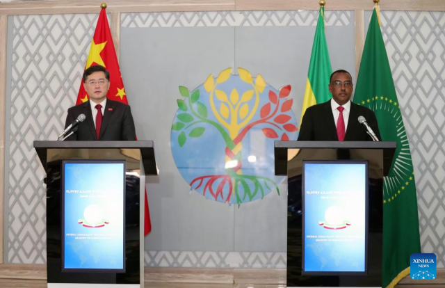 Chinese FM discusses progress of outlook on peace, development in Horn of Africa