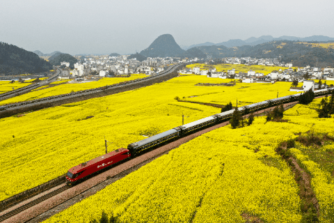 Explainer: Why are tourist trains gaining steam in China?