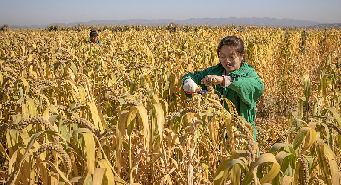 新建项目 (1).jpg