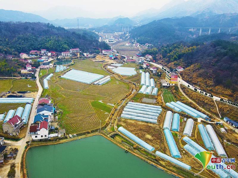 Anqing developed agriculture and ecological breeding industries to expand income