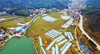 新建项目 (1).jpg