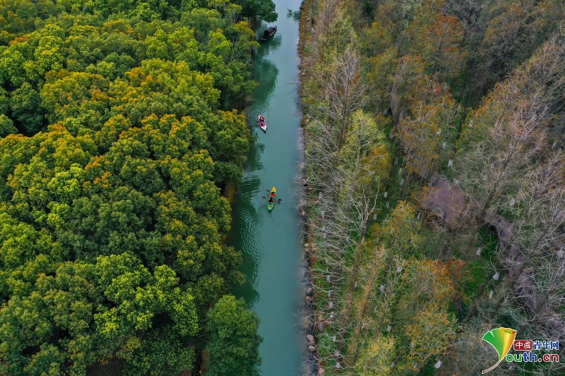 Yangtze River Delta ecological integration set an ecologically development sample