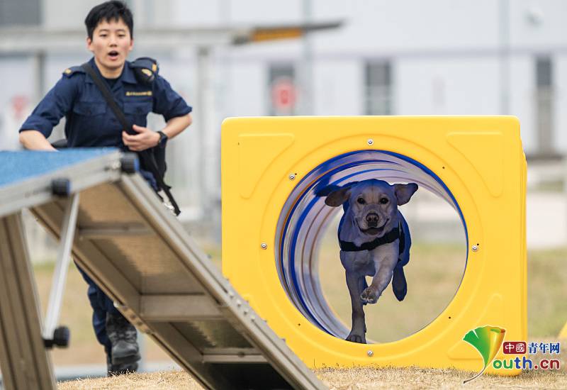 Regional Canine Training Center of World Customs Organization opens in Hong Kong