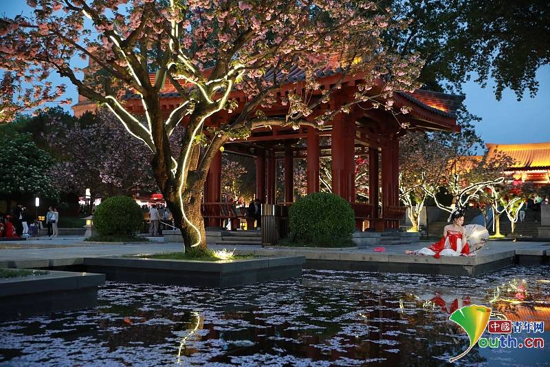 Cherry blossoms bloomed splendidly at Dayan Pagoda_English__China Youth ...