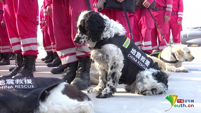 Chinese rescue team returns completing missions in Myanmar_English ...