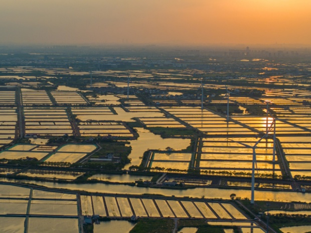 VCG111565393803_.jpg