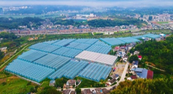 VCG111575919249_.jpg