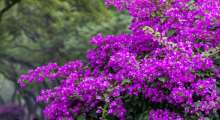 VCG111592964345.jpg