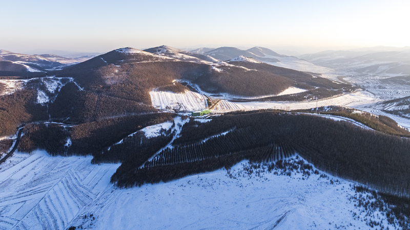 The Birch Bark Ridge was covered in white_English__China Youth ...