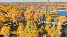 VCG111675602564.jpg