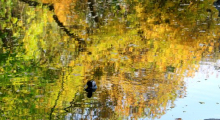 VCG111676239402.jpg